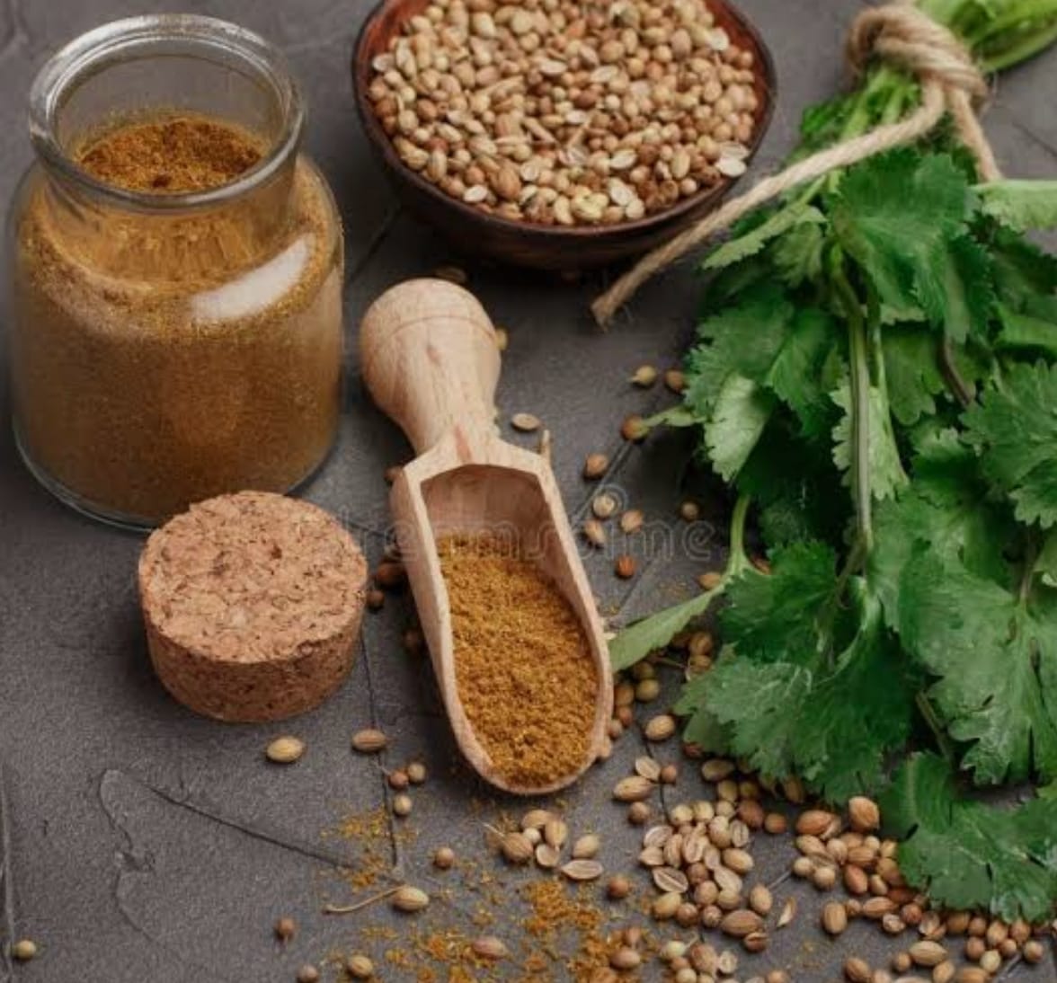 Coriander